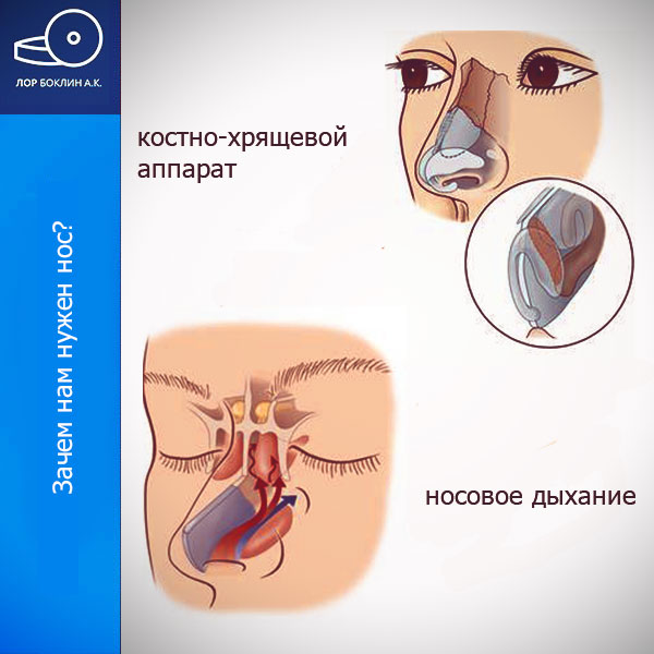 Заложен нос: причины и рекомендации по лечению | Сайт о здоровье
